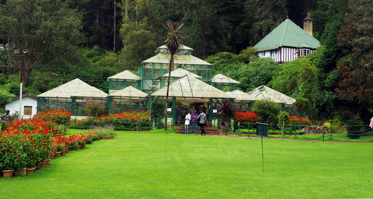 2 Day Ooty with Ooty Botanical Garden