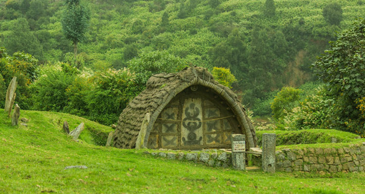 3 Day Ooty with Ooty Toda Hamlet
