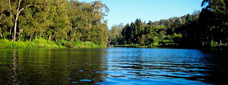 Ooty Lake Tourist Attraction